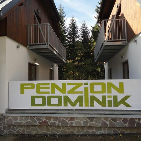 Penzion Dominik Železná Ruda Exterior foto